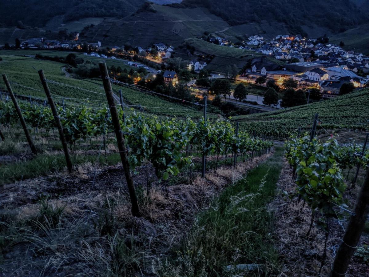 Am Bungert Lägenhet Mayschoß Exteriör bild