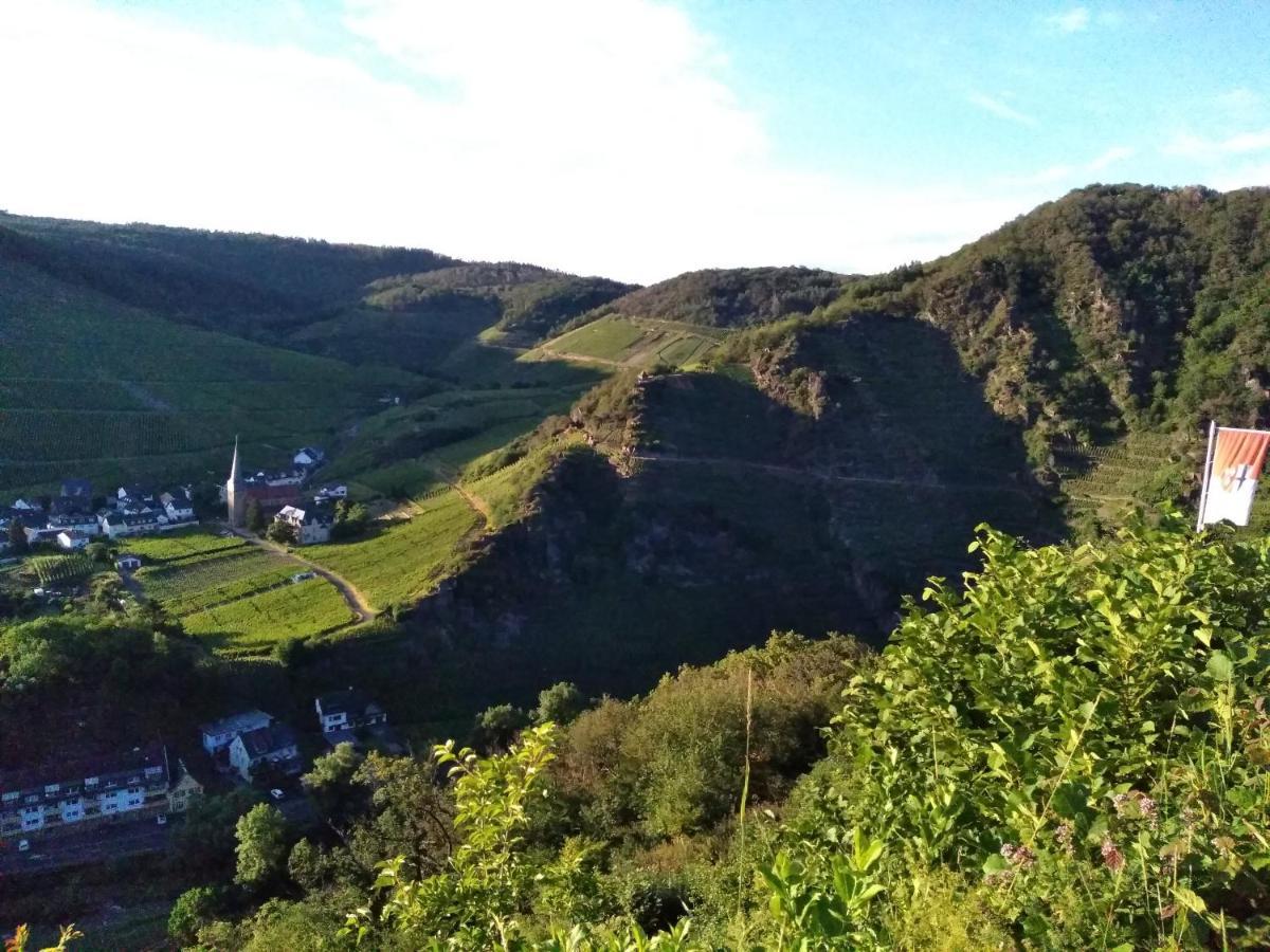 Am Bungert Lägenhet Mayschoß Exteriör bild